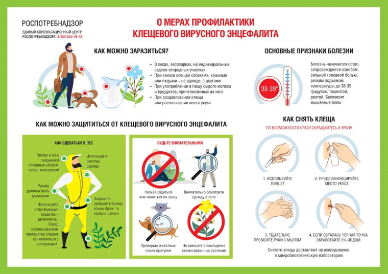 Информация по профилактике клещевого энцефалита.