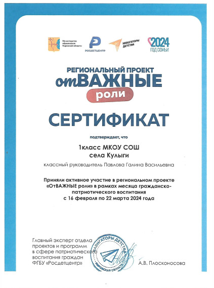 Результаты регионального проекта "отВАЖНЫЕ роли"с.